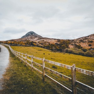 Irish nature